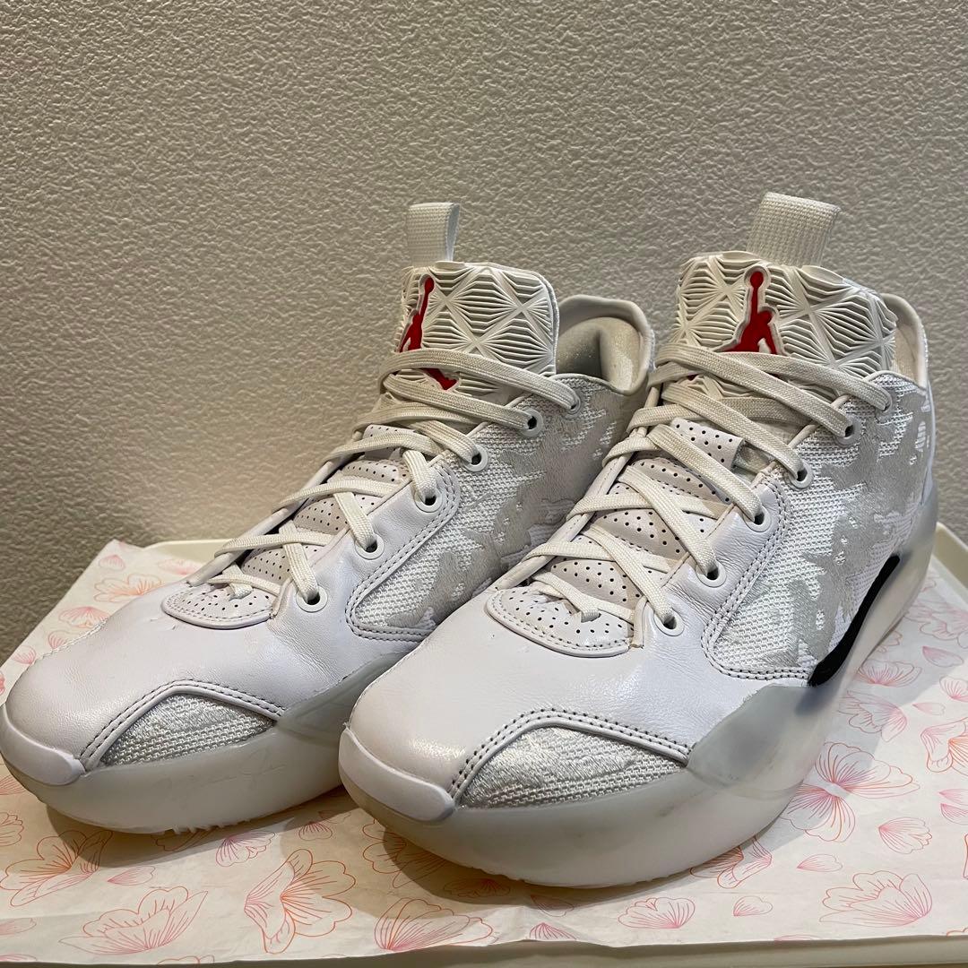 AIR JORDAN39 エアジョーダン39 メンズ26,5㎝NIKEバスケット Basketball Shoes Jordan Air Jordan 39 Vast Grey-Black-Pale Ivory