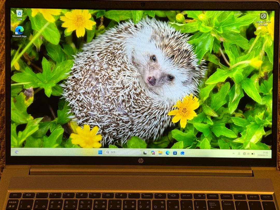 Windowsノート本体 HP ProBook 450 G10 Core i5 1335U