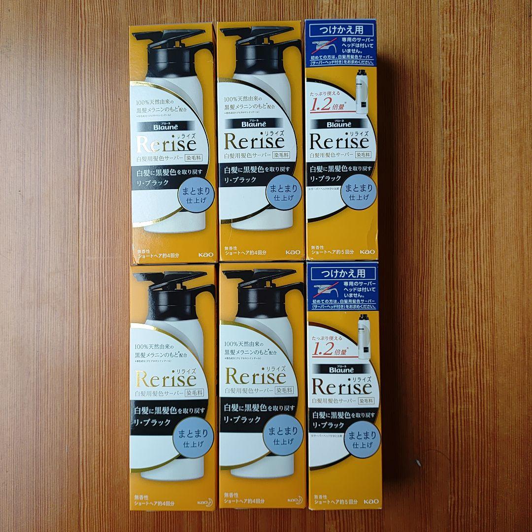 リライズ 白髪用髪色サーバー リ・ブラック まとまり仕上げ 本体 付け替 計6本