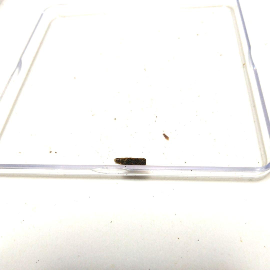 香木沈香伽羅　伽羅 ZX 0.14g