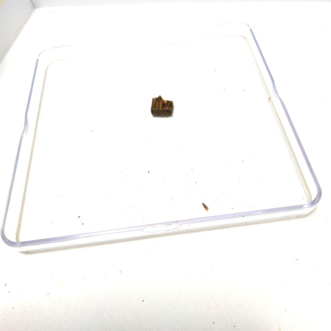 香木沈香伽羅　伽羅 ZX 0.14g