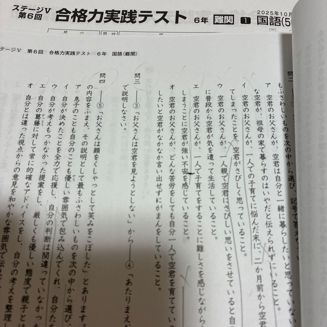 最新2025年】日能研6年 後期 20回分 公開模試 育成、実践 入試実践模