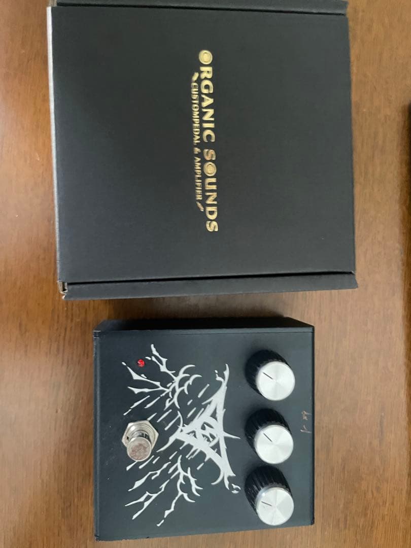 ギター Organic Sounds RAIN STORM