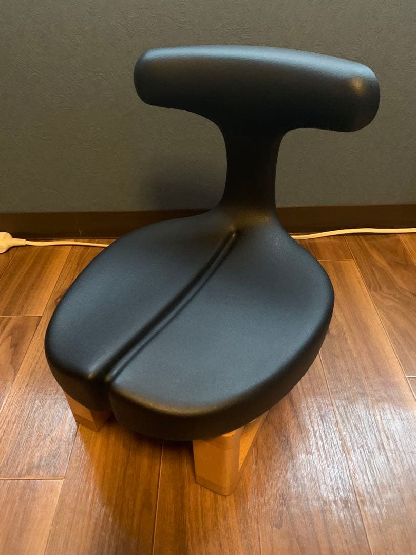 ayur chair medical seat アーユルチェア　座椅子