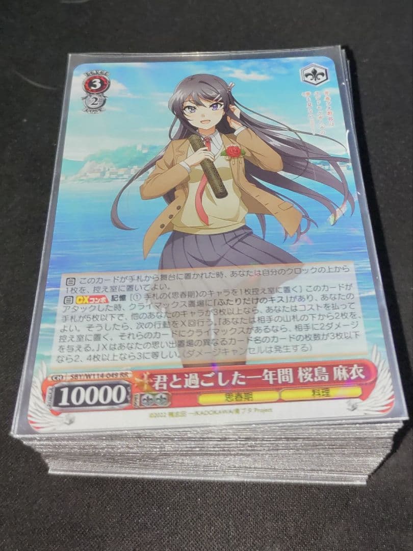 ヴァイス　青ブタ　門扉デッキ