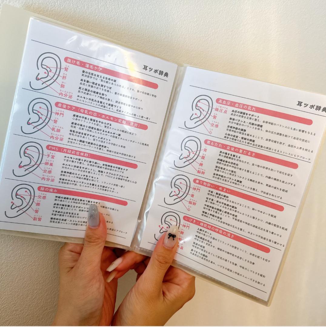 耳ツボジュエリー | 耳ツボ辞典 | 112通り＋αの症状 | B6サイズ