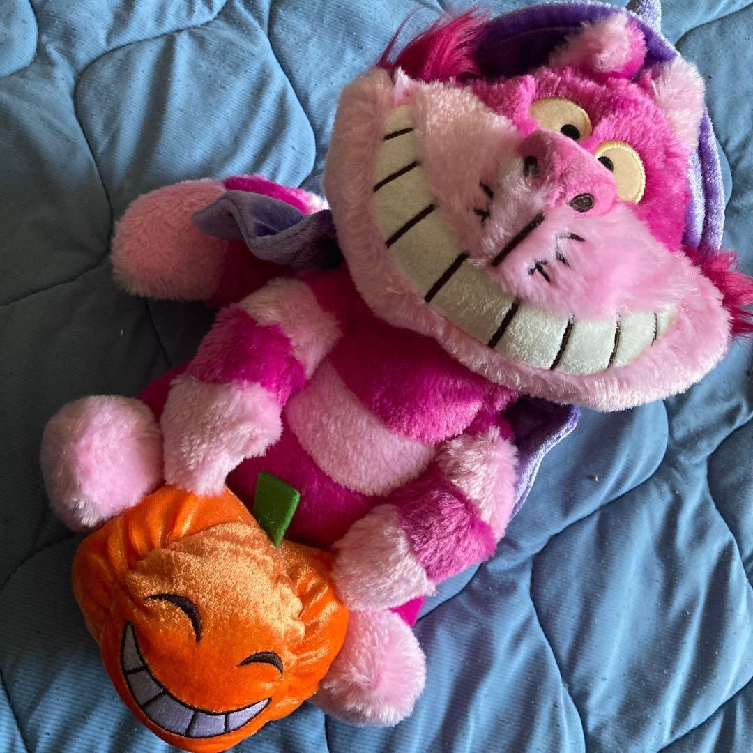 チェシャ猫 ぬいぐるみ かぼちゃ付き wMyjMSVP1XhYR4SEEsrA.jpg