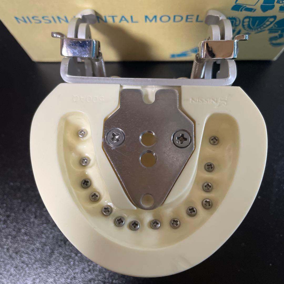 NISSIN歯科模型ニッシンデンタルモデルD18FE-500A-QF全て未形成歯