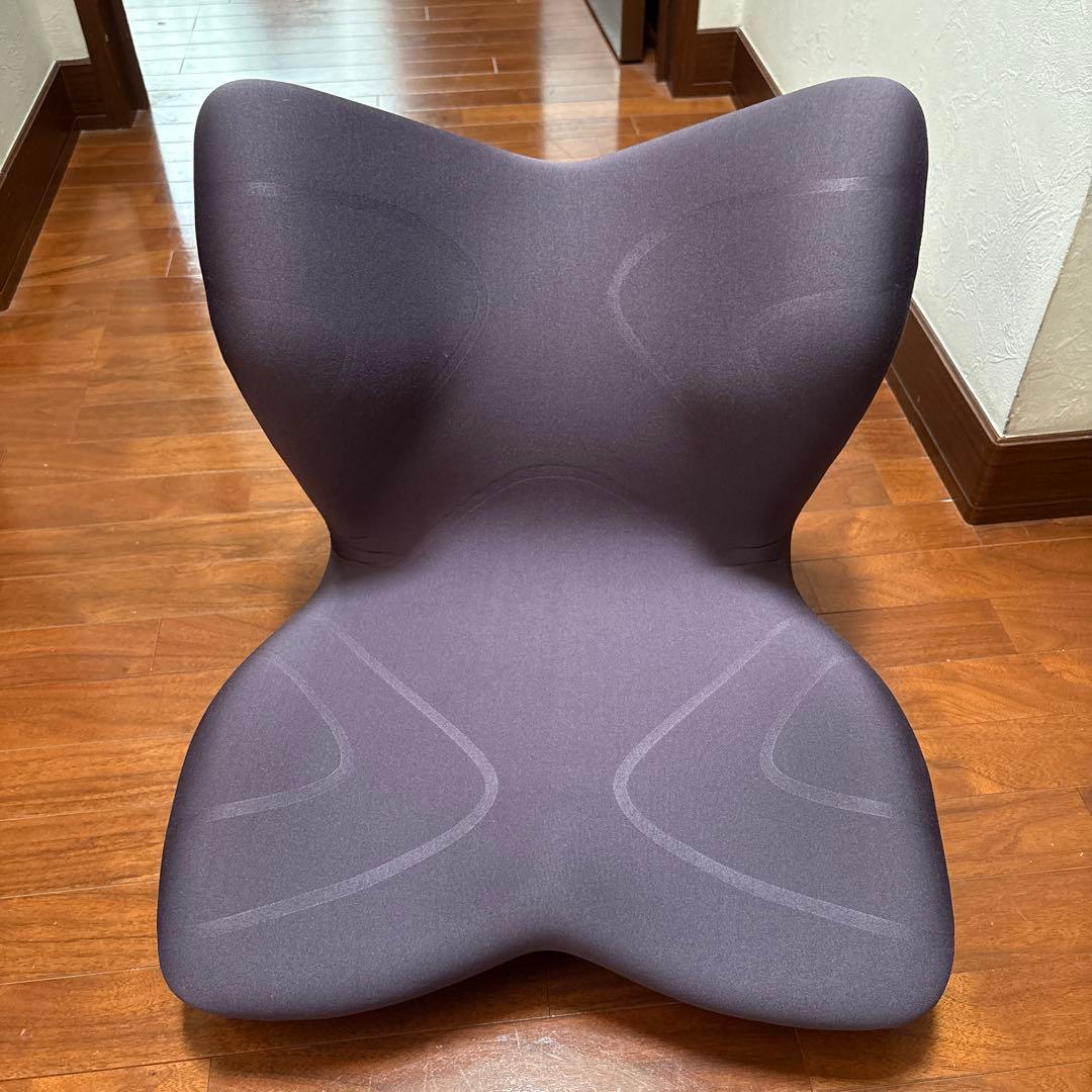 矯正用品・補助ベルト MTG Style PREMIUM