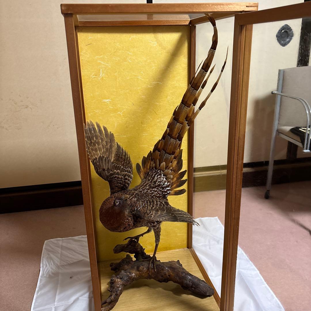 木製 鳥の彫刻 茶色と金色の羽根 雉 剥製 掘り出しもの - メルカリ