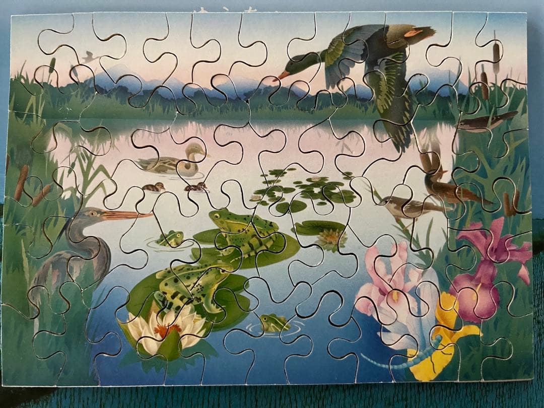 スイス　naef バーゼル　Grun80 木製パズル　48pガーデンExpo スイス ネフ社 naef バーゼル Grun80 木製パズル ガーデンExpo - メルカリ