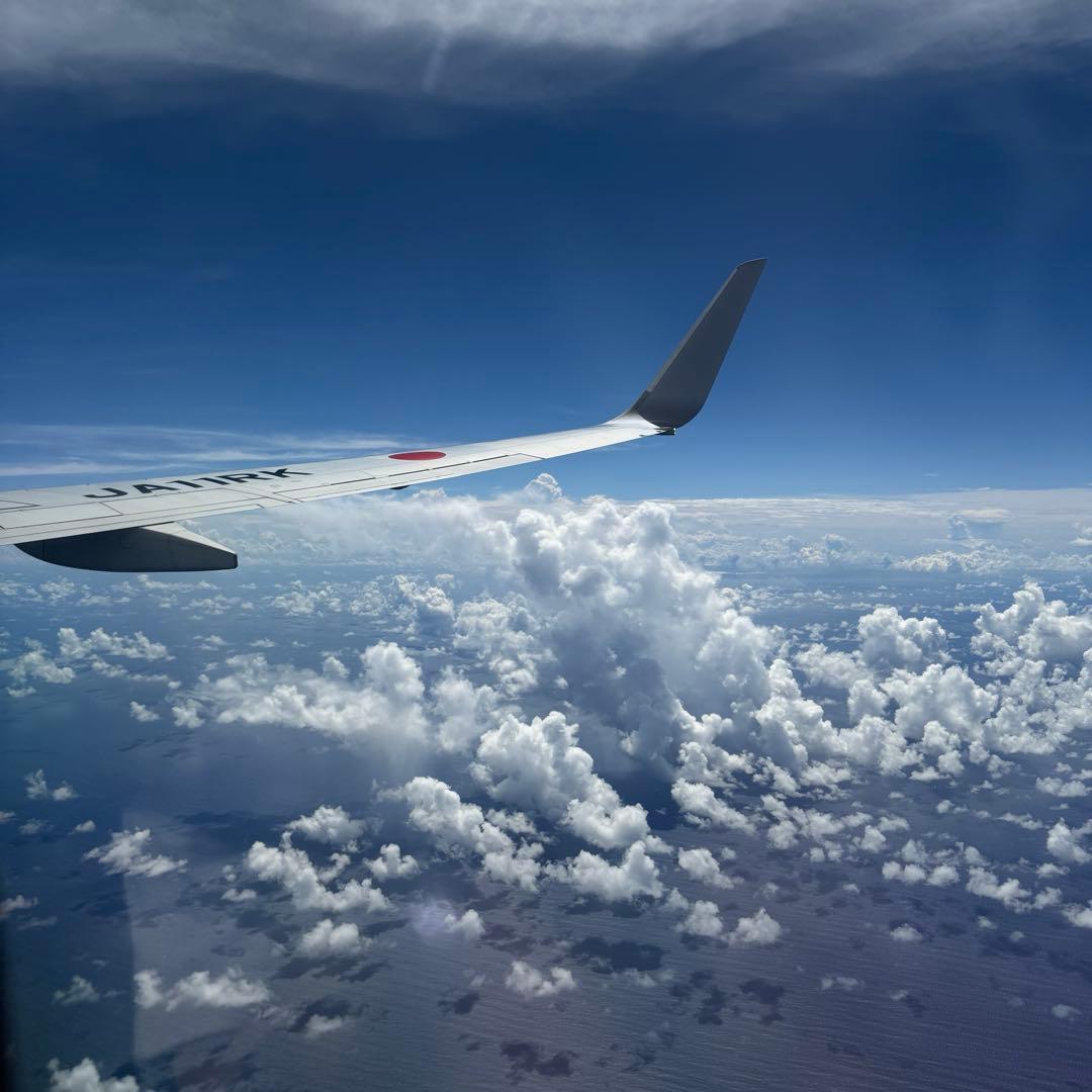 バリオス シート 瑠偉さん専用