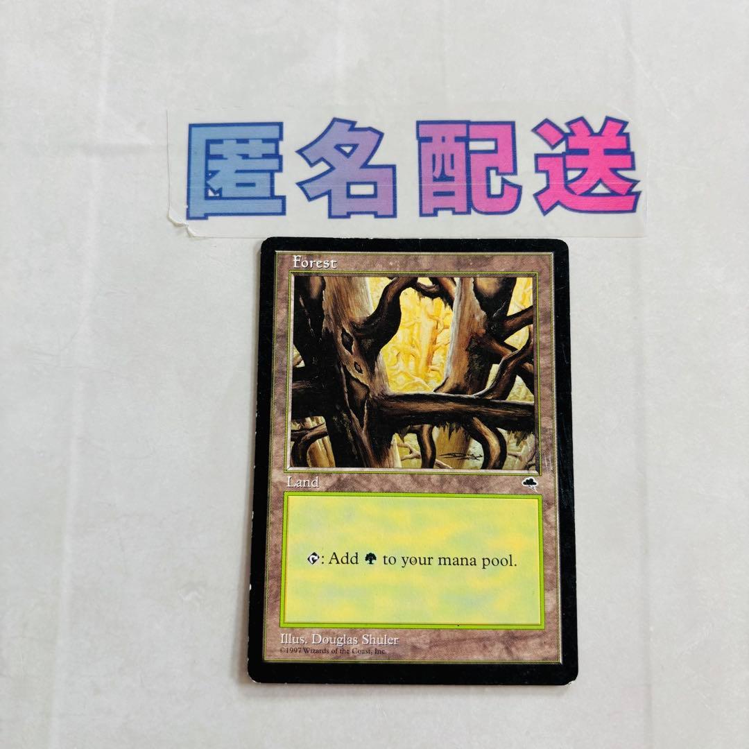 MGT】マジックザギャザリングForest / 森 英語版 - メルカリ
