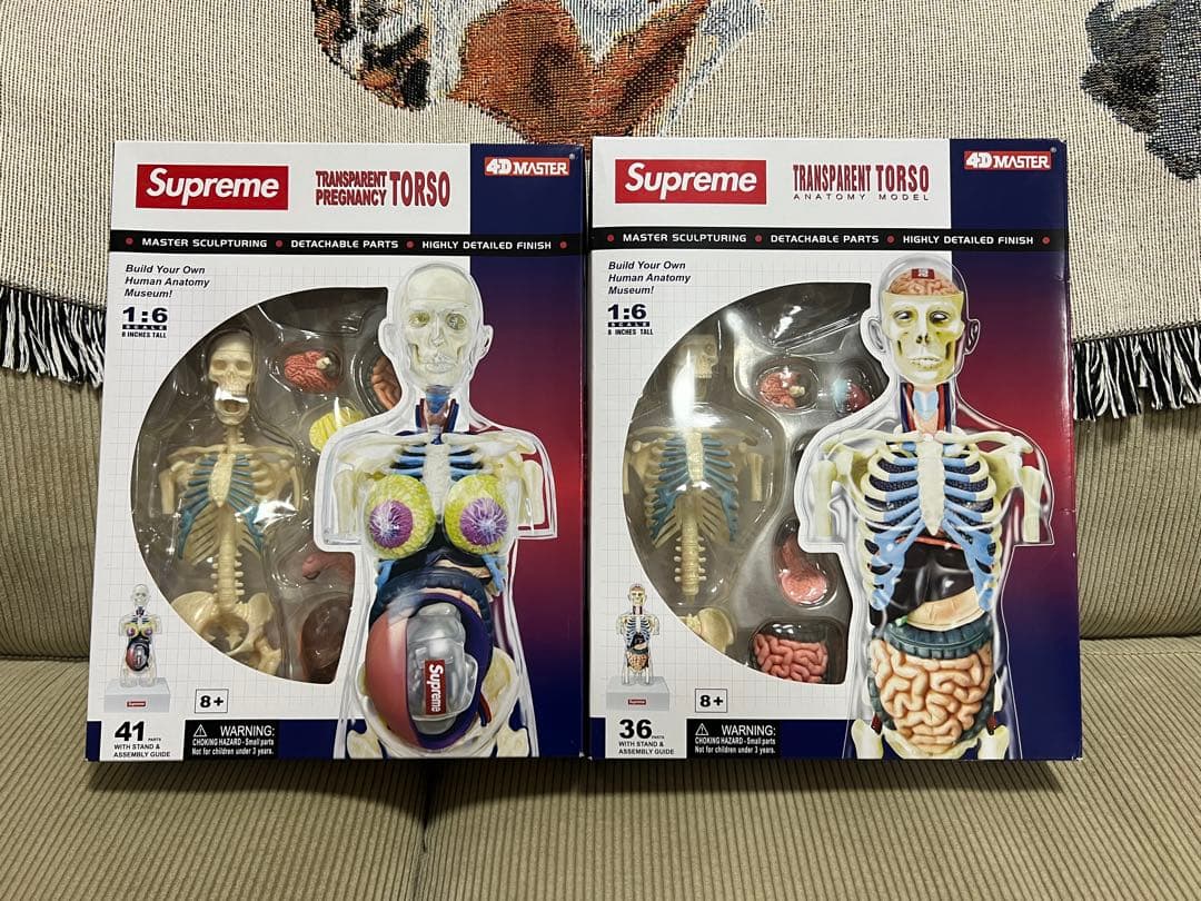 Supreme Anatomy Model 18AW 人体模型 Supreme 18aw Male and Female Anatomy Model 
