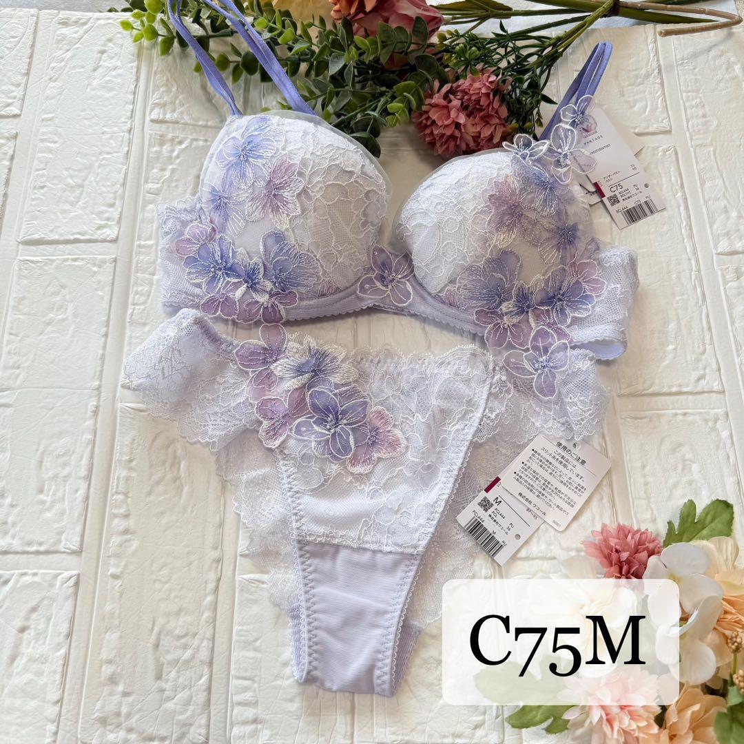 新品】wacoal パルファージュ 44 ブラ ソングセット C75M PU - メルカリ