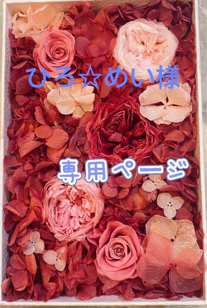 モン&ミーママ様専用」 切り花品種バラ苗 レアバラ Harpe♡ Rose