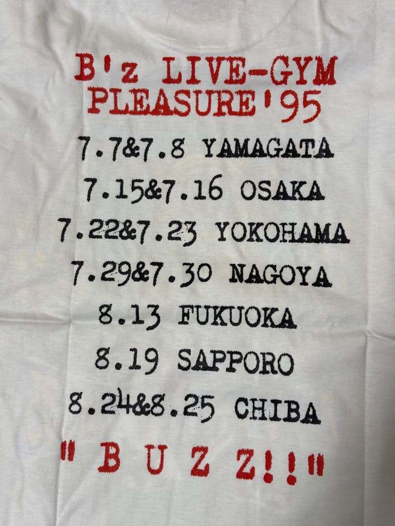 希少】B'z TシャツLIVE-GYM pleasure95 稲葉浩志 - メルカリ