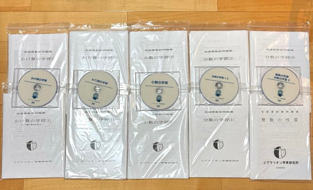 ピグマリオン　実感算数　わり算　かけ算　小数　分数　整数