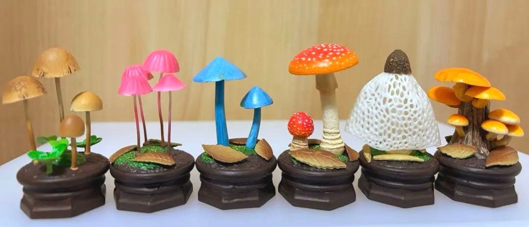 きのこ立体図鑑1 フルコンプセット ベニテングダケ 他 全6種 キノコ 菌糸工房