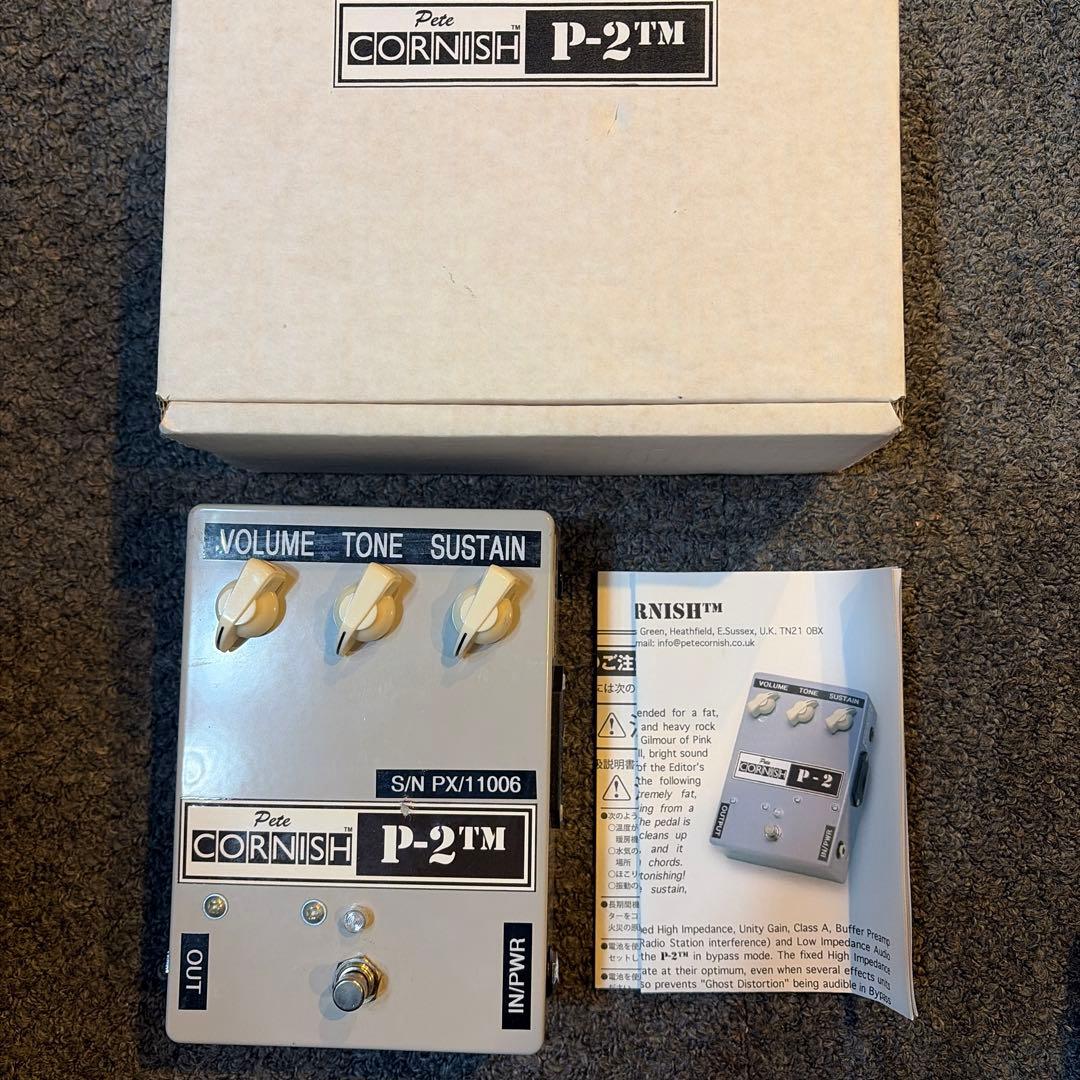 ギター Pete Cornish P-2