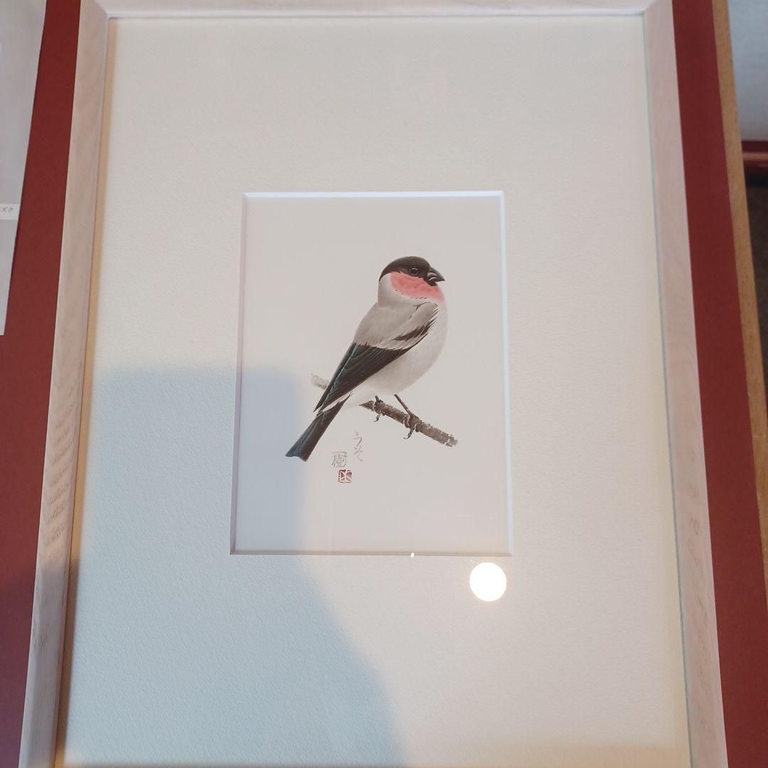 野鳥画家「木部一樹」アクリル画　うそ 木部 一樹 (@kibe_kazuki) / Posts / X