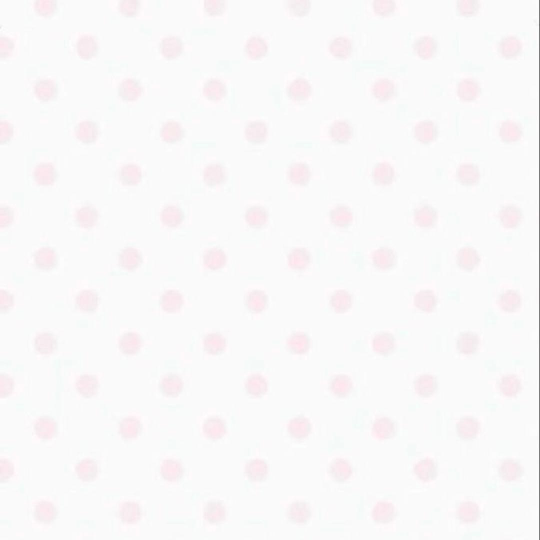 専用♡ ZX-6R (24) デザインが美しい IMPAKTECH製 スタントケージ｜AxxL