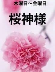 桜神様　木曜日〜金曜日 通常版】薄桜鬼 真改 カレンダー2023 壁掛型 | 薄桜鬼シリーズ