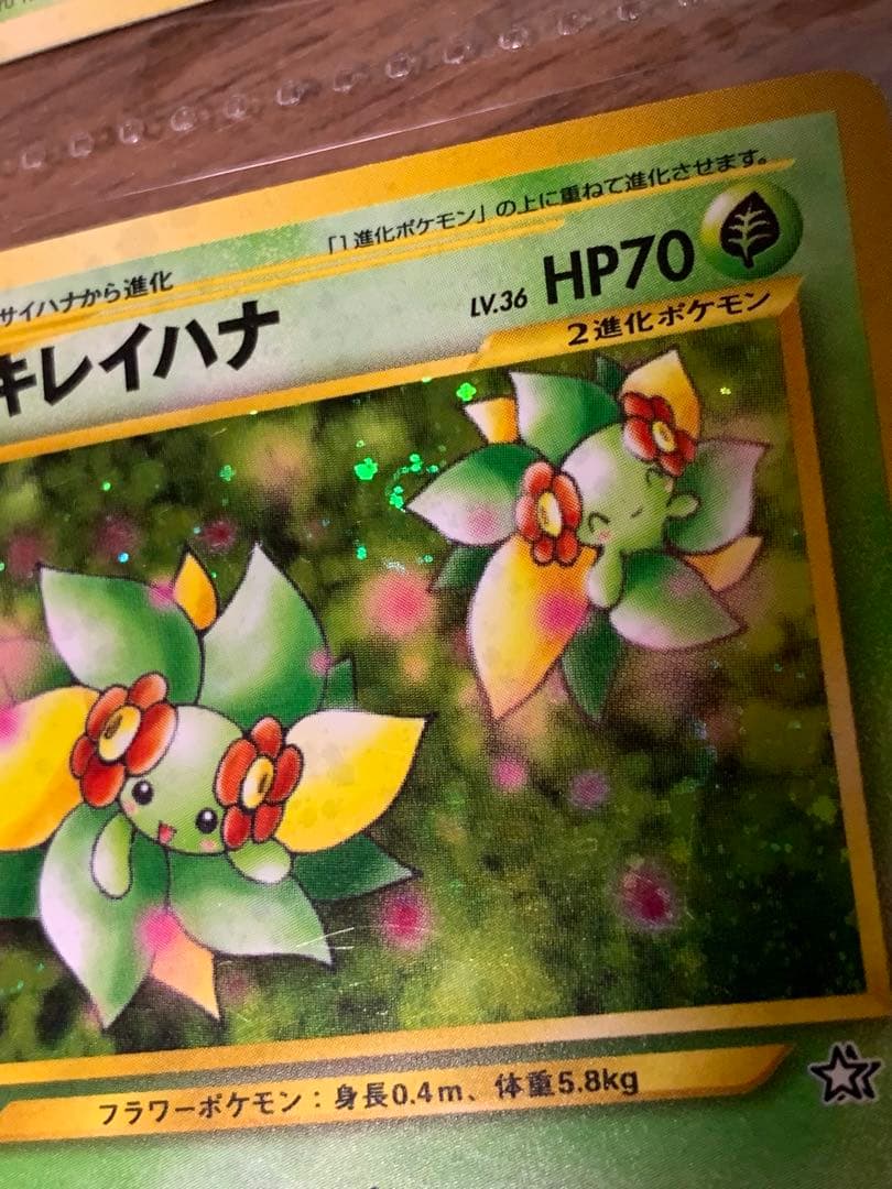 旧裏】キレイハナ、ラフレシア進化セット(渦あり) - メルカリ