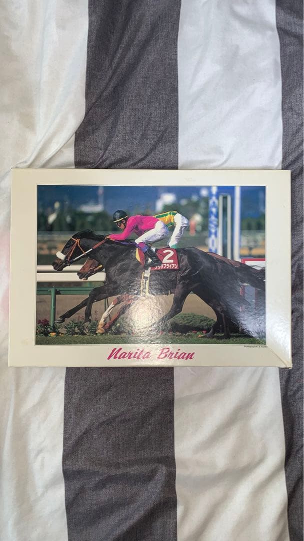 ナリタブライアン　ジグソーパズル　レア品 レア ジグソーパズル ディズニー 夢のステーション 1000ピース 未開封