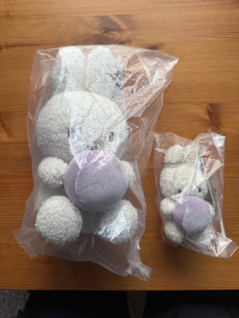 万博　オランダ館　ミッフィー　オーブ