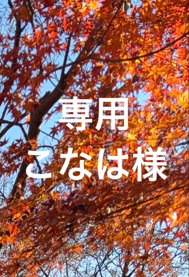 プラセンタセル　2025コフレグラン