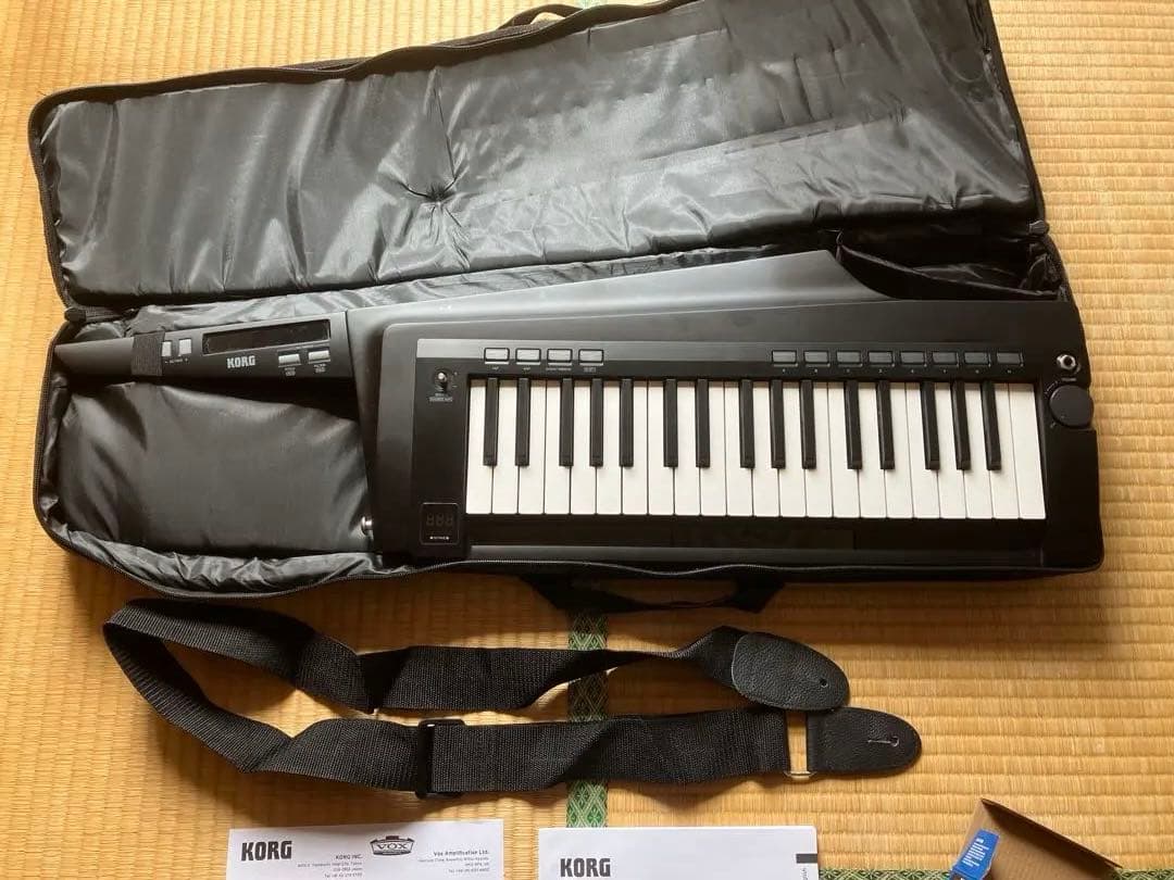 鍵盤楽器 KORG RK-100S 2 KEYTER