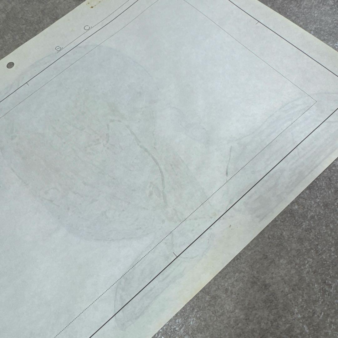 希少 おもひでぽろぽろ 岡島タエ子 セル画 C5 スタジオジブリ - メルカリ