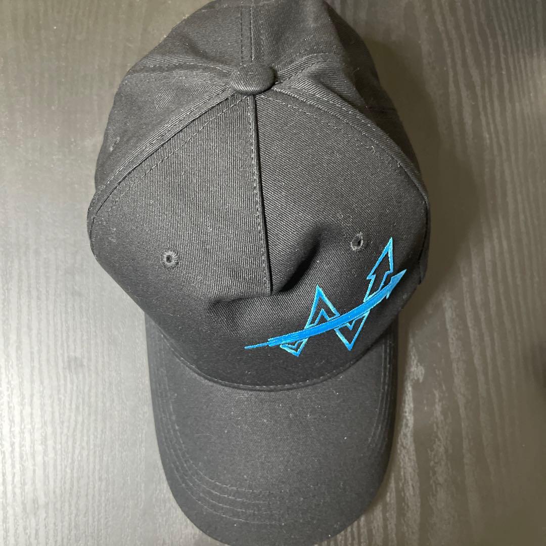 ライブラリーオブルイナ W社 キャップ - メルカリ