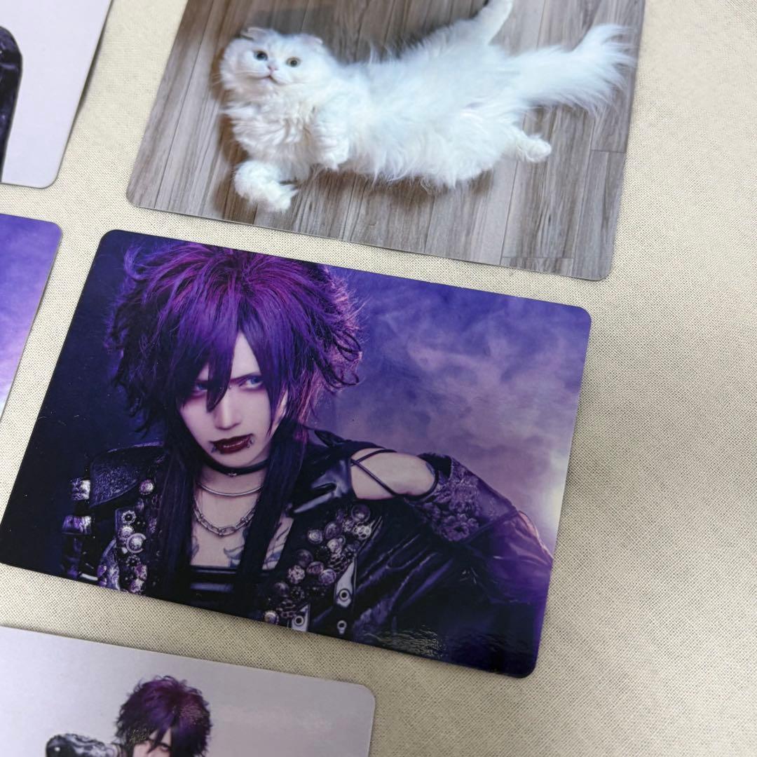 Royz 杙凪 トレーディングカードセット - メルカリ