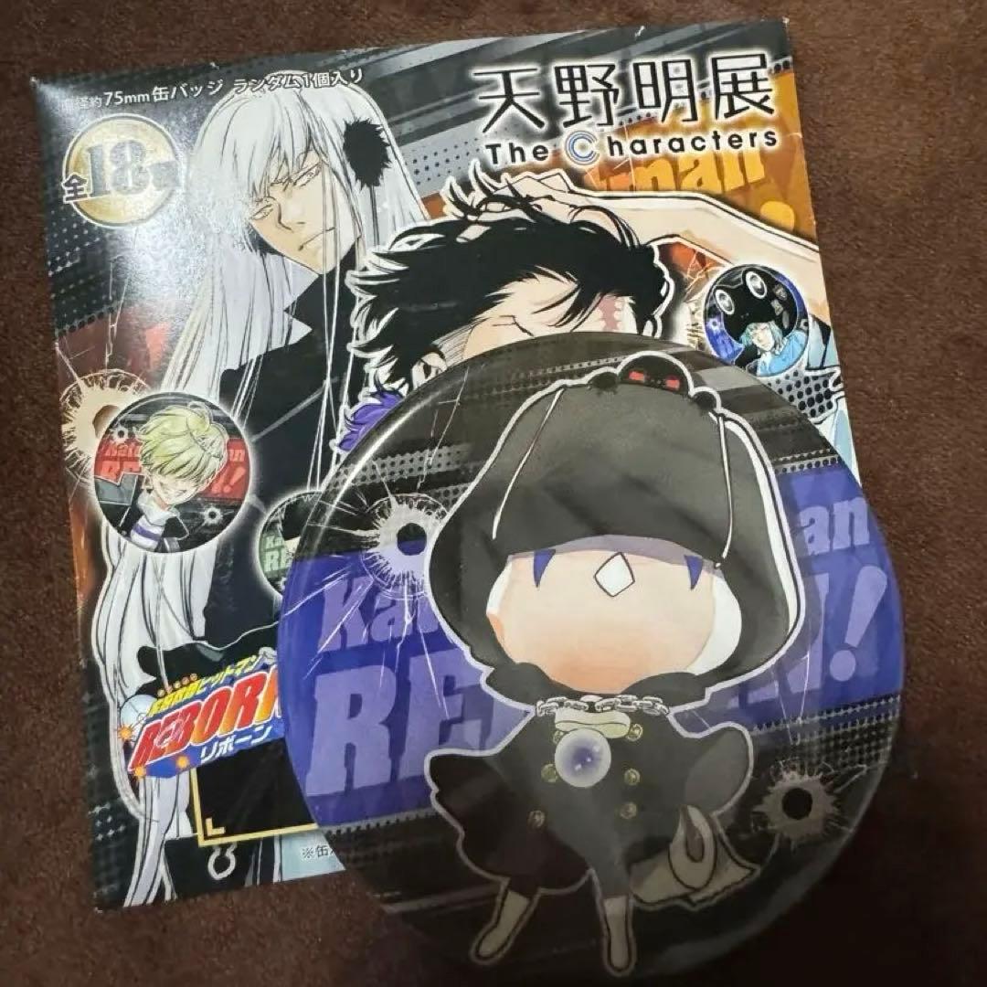 家庭教師ヒットマンREBORN リボーン 天野明展 缶バッジ マーモン