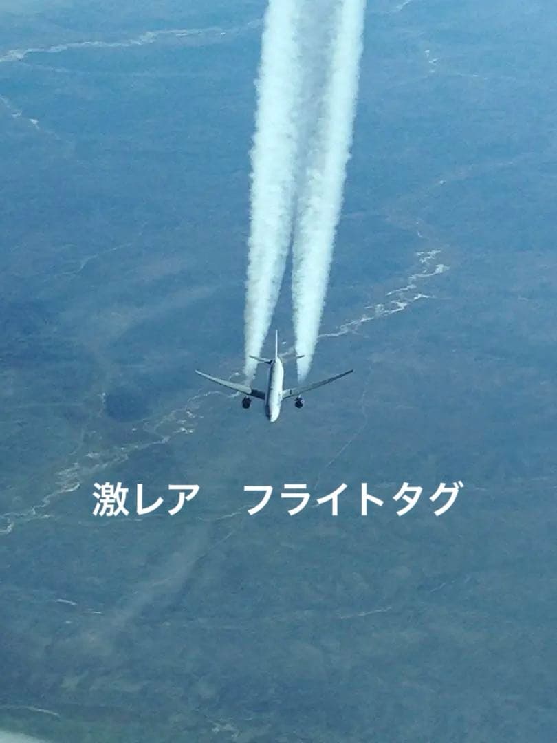 新品 激レア ANAフライトタグ ボーイング787 就航10周年記念 社内贈呈