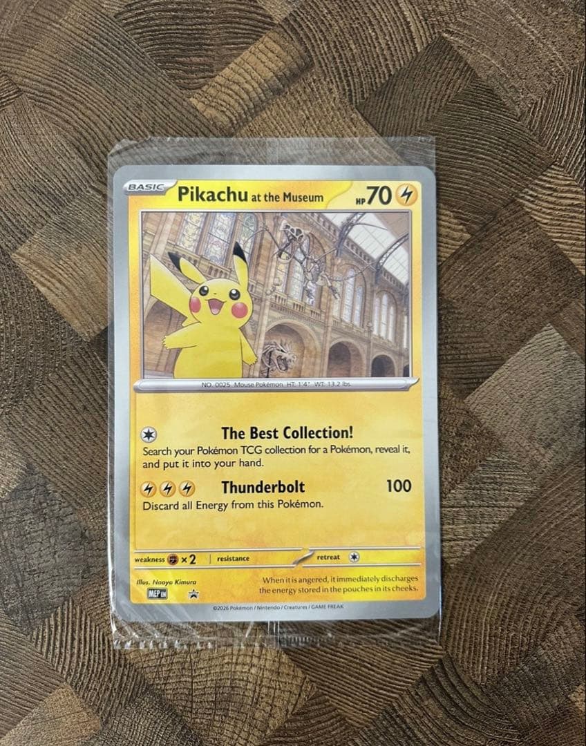 ピカチュウ Pikachu at the Museum プロモ promo