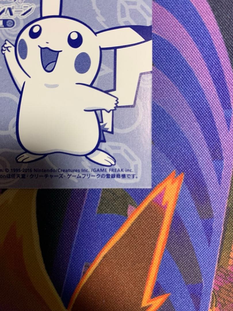 ピカチュウ名刺 ポンチョを着たピカチュウ メガレックウザ カード