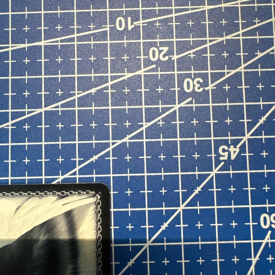 ヴァイス MyGO!!!!! 迷子のバンド 高松燈 SSP サイン 429 - メルカリ