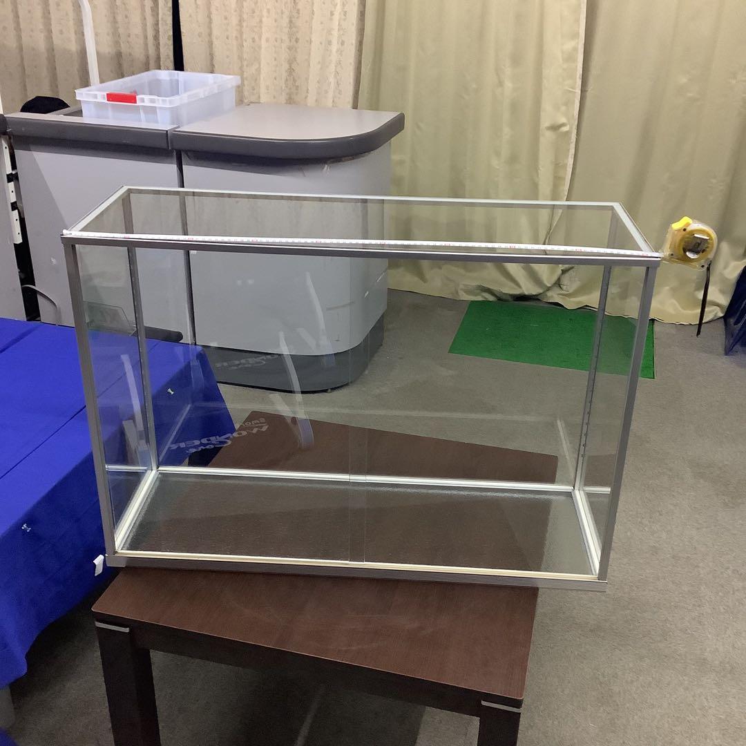 イトウ 剥製 魚類 標本 木製スタンド・ショーケース付き - メルカリ