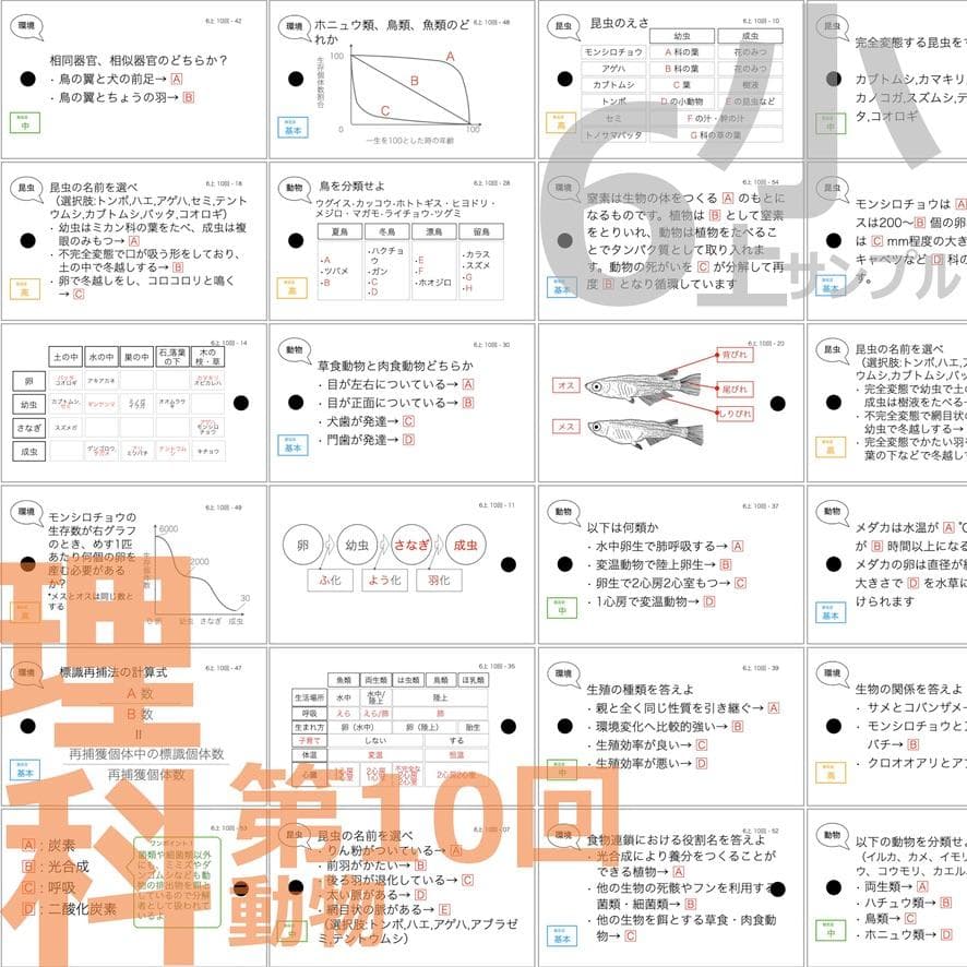 中学受験【6年上 理科 全セット1-17回】暗記カード 予習シリーズ 組