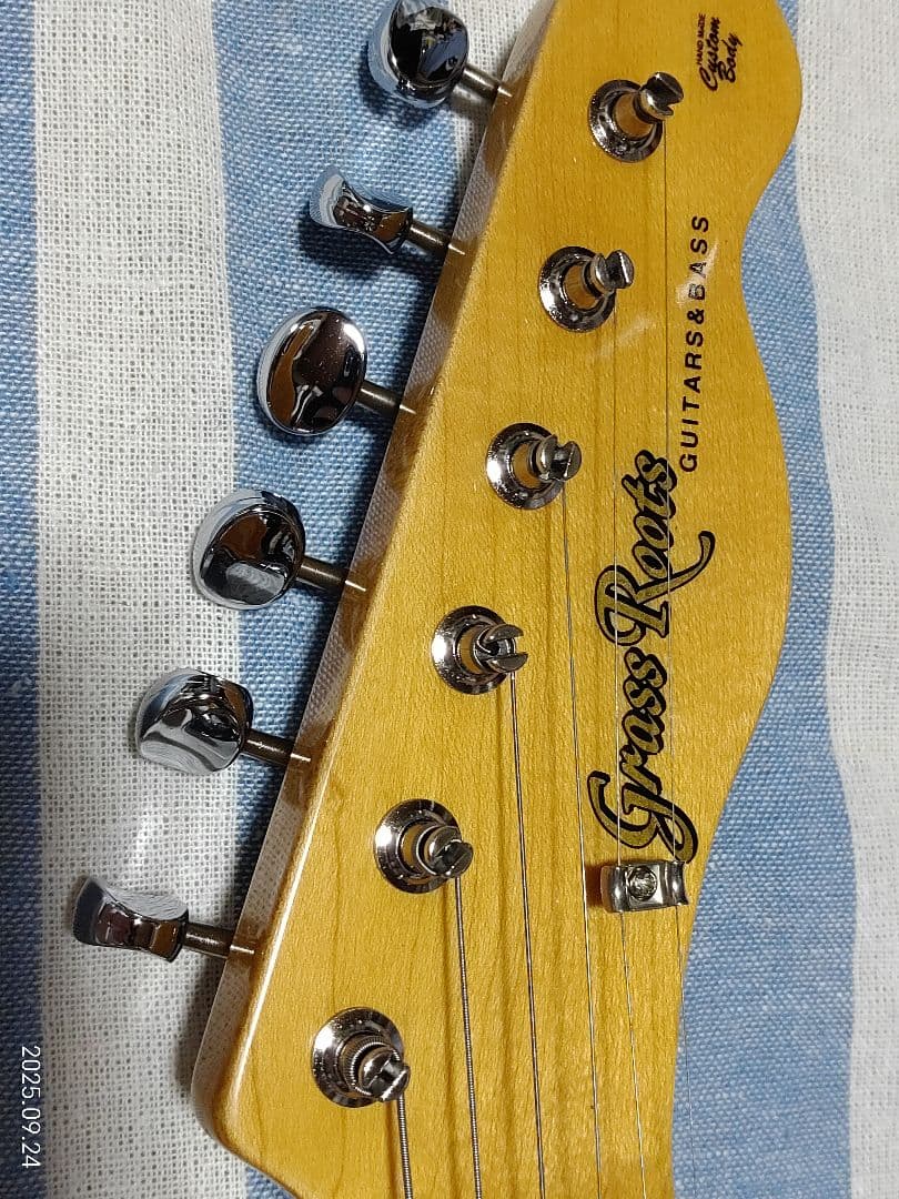 GrassRoots by ESPのテレキャスタイプG-TE-50R使用感少美品