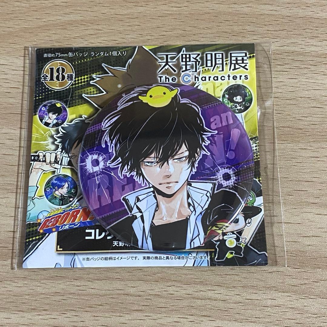 天野明展 雲雀恭弥 缶バッジ 家庭教師ヒットマンREBORN! - メルカリ
