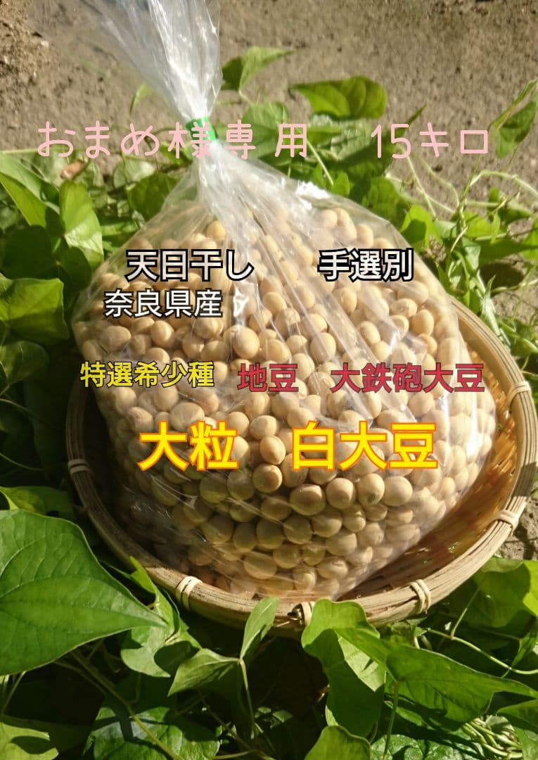 大粒 白大豆 15キロ 奈良県産