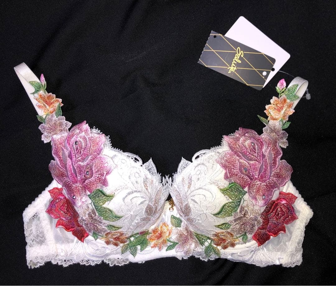 【最安値】Salute サルート09g ブラジャー IV C70 P-up