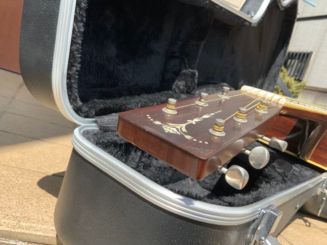 Tokai Cat's Eyes CE-1000S 81年製 ハードケース付 - メルカリ