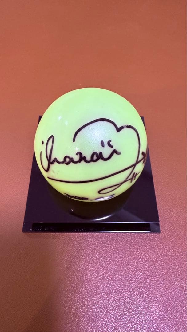 え 2個 僕青 僕が見たかった青空 サインボール 直筆 持永真奈 僕が見たかった青空】スペシャル企画！ 「元気と勇気を届ける太陽の