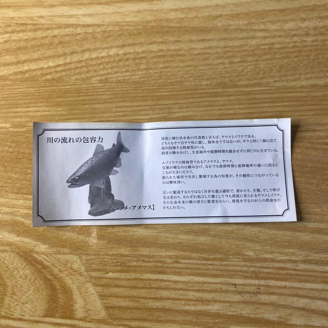 未使用】YUJIN 原色 淡水魚図鑑Ⅰ 改訂版 ヤマメ × アメマス - メルカリ