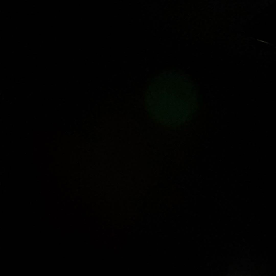 PHANTOM PAIN　リボルテック　ブランウェン